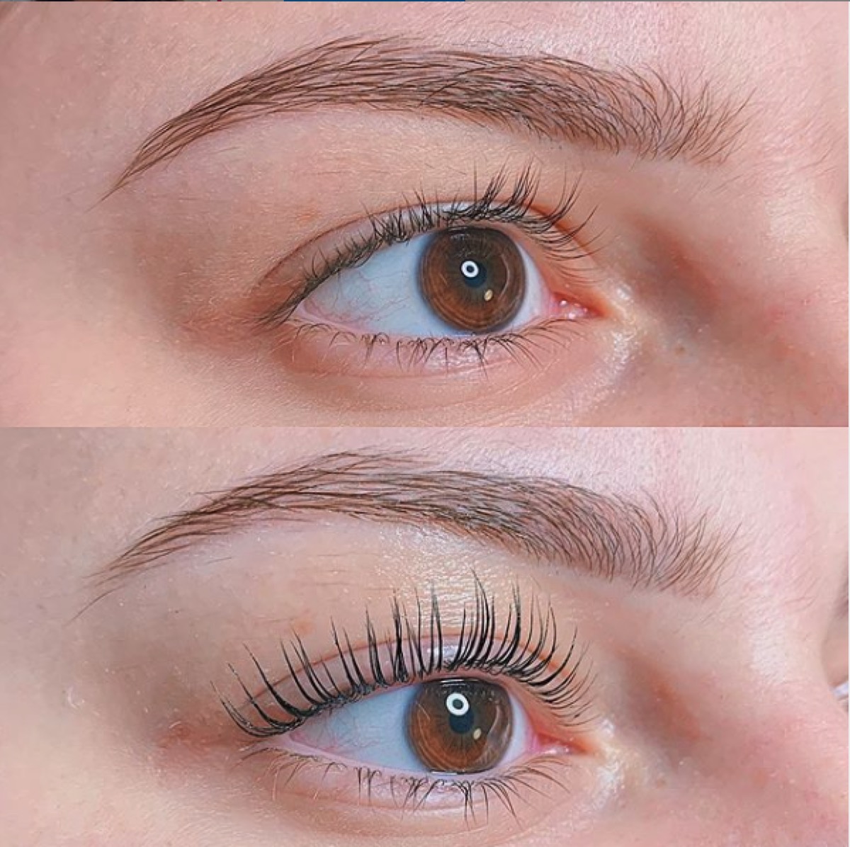 Professional lash lift with tint at Urban Brows