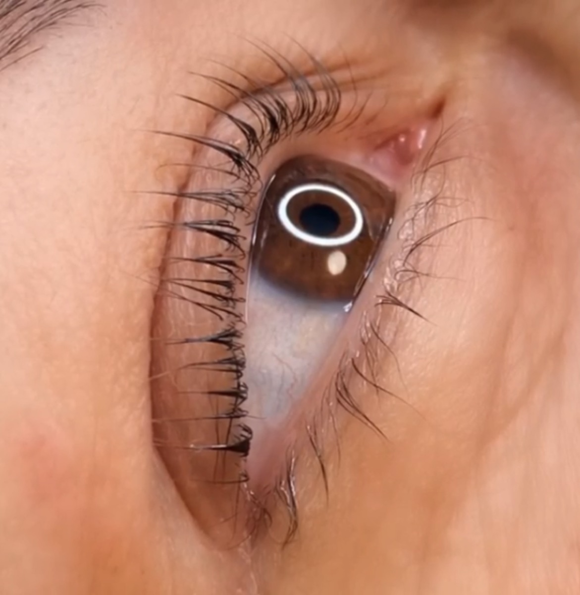 Lash lift and tint close-up showing darkened lifted lashes